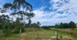 4 terrenos Juntos bairro Estela Maris