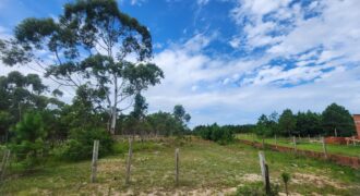 4 terrenos Juntos bairro Estela Maris